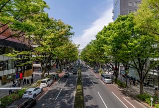 Ometosando-straat, Tokyo