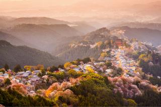 Mt. Yoshino