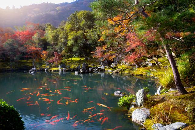 Tenryu-ji-tempel, Arashiyama