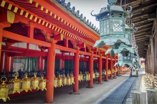 Herten bij Kasuga Taisha-schrijn, Nara