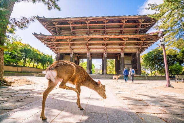 Togaji-tempel, Nara