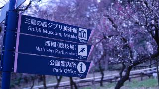 Ghibli Museum-tour