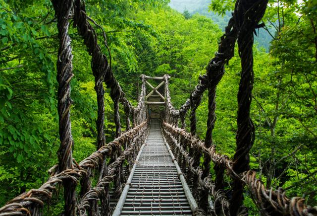 Kazurabashi-brug, Iya-vallei