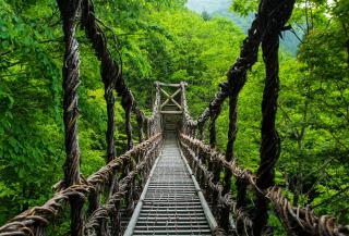 Kazurabashi-brug, Iya-vallei