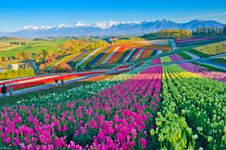 Het prachtige landschap van Hokkaido