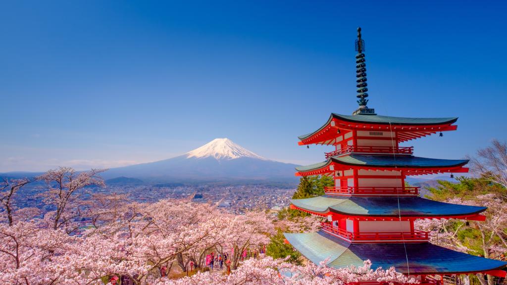 Mount Fuji in de lente