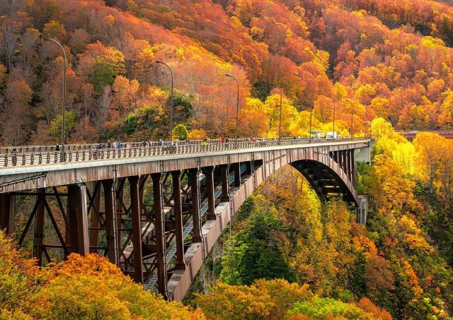 De Jogakura brug in de prefectuur Aomori met herfstkleuren op de achtergrond. Een geweldig uitzicht op de Jogakura-keiryu stroom, een beroemde bestemming in het Towada-Hachimantai National Park.