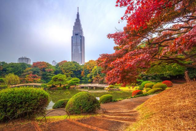 Shinjuku Gyoen Park, Tokyo