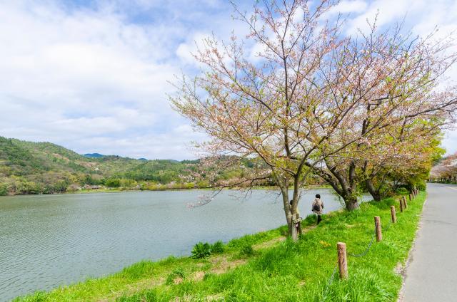 Hirosawa vijver