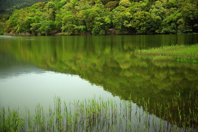 Hirosawa vijver