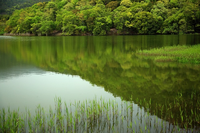 Hirosawa vijver