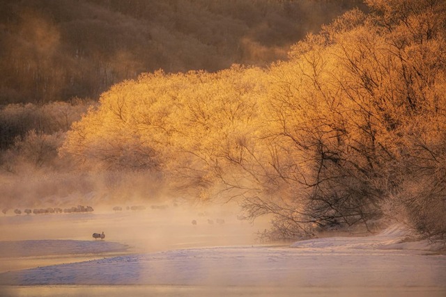 Winterochtendlandschap in Hokkaido