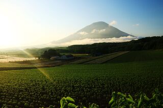 Mt. Yotei in de zomer, Niseko