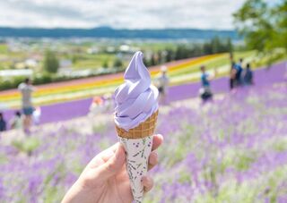 Hokkaido ijsje met uitzicht op Furano’s bloemenzee